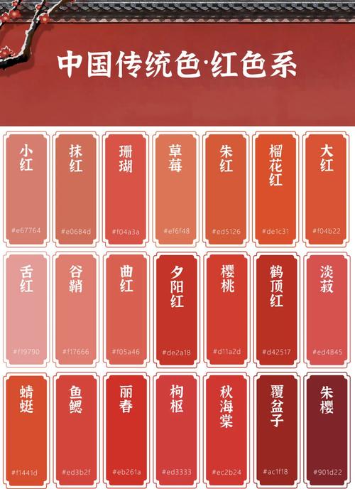 美女操哭的相关介绍