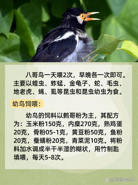 欧美人妻复古在线的相关介绍