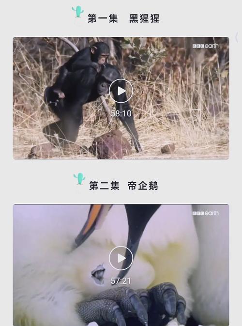 国产色18的相关介绍