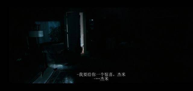 成人极品影院的相关介绍
