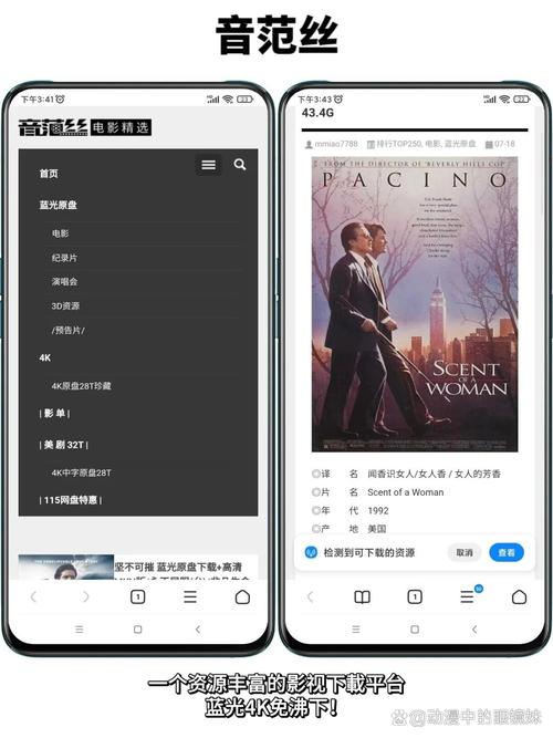 酒吧影院的相关介绍