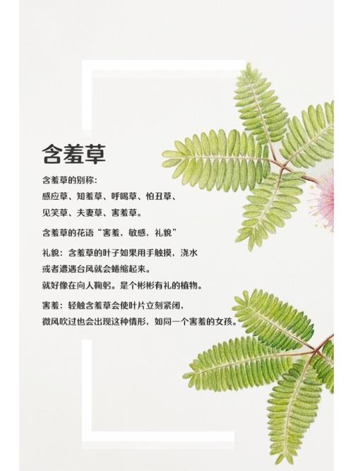 1024欧美金沙人妻你懂的的相关介绍