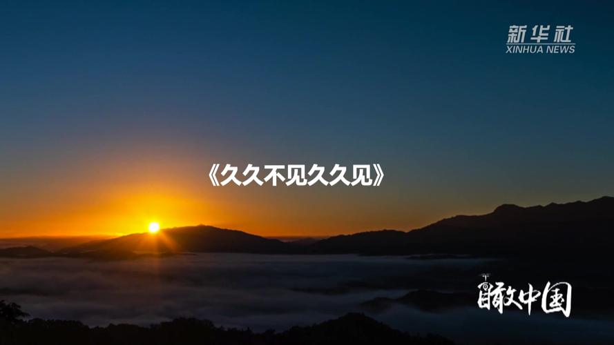 18禁在线黑人的相关介绍
