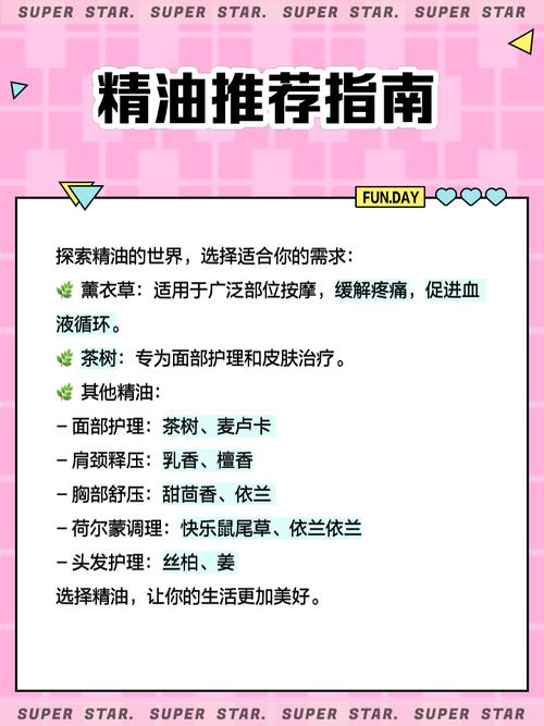 高hnp调教骚货的相关介绍