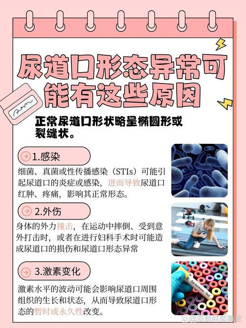星辰影院最新电视剧大全的相关介绍