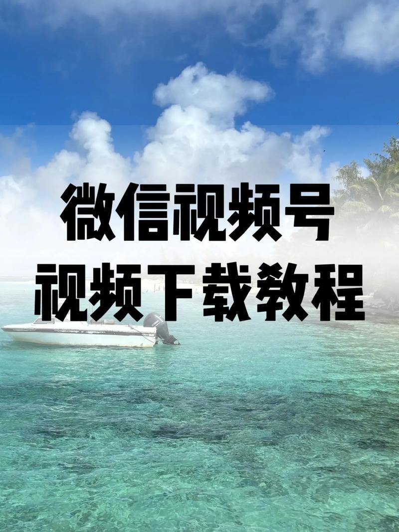 第八放映室影院手机版的相关介绍