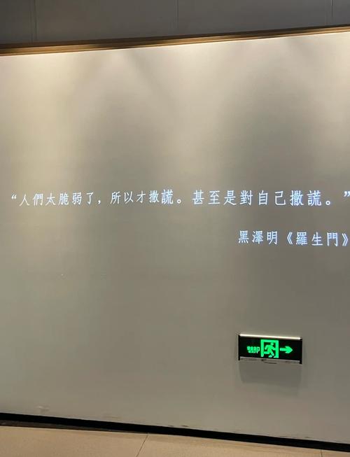 4080新视觉影院手机的相关介绍