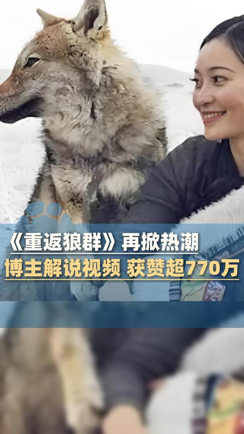 人妻啪啪网站的相关介绍