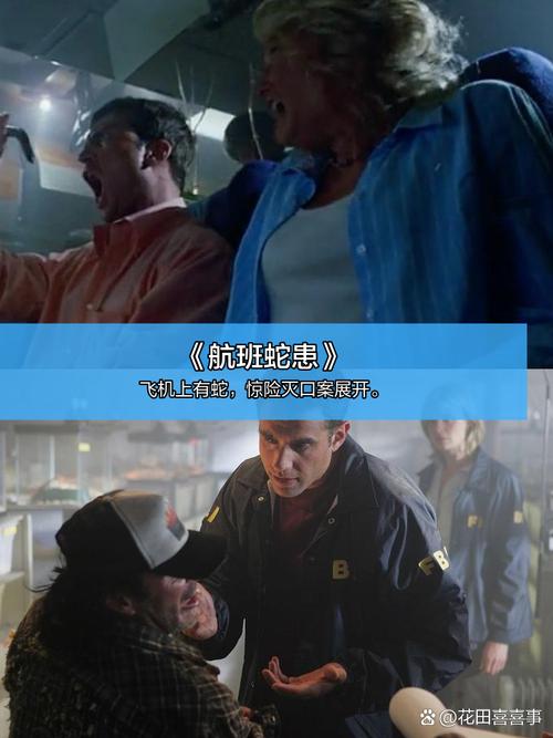 第九电影院影院的相关介绍