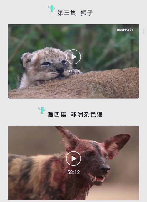 把老女人操出白浆的相关介绍