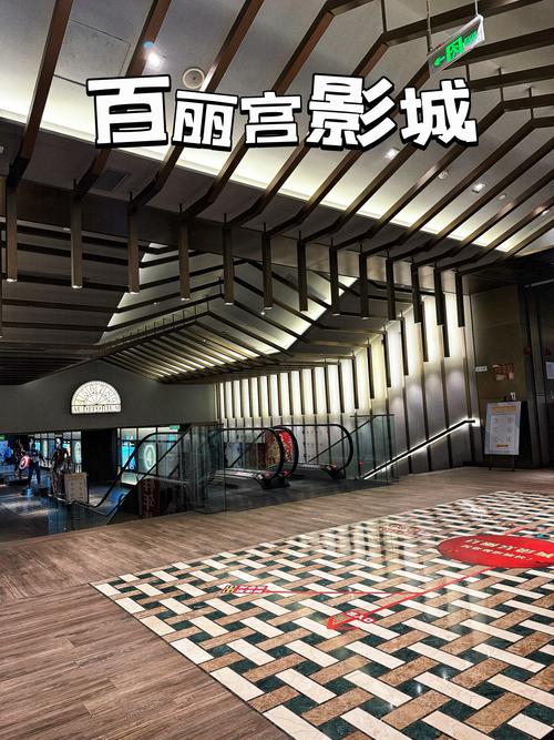把女生操出白浆的相关介绍