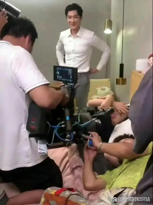 欧美另类老熟妇的相关介绍