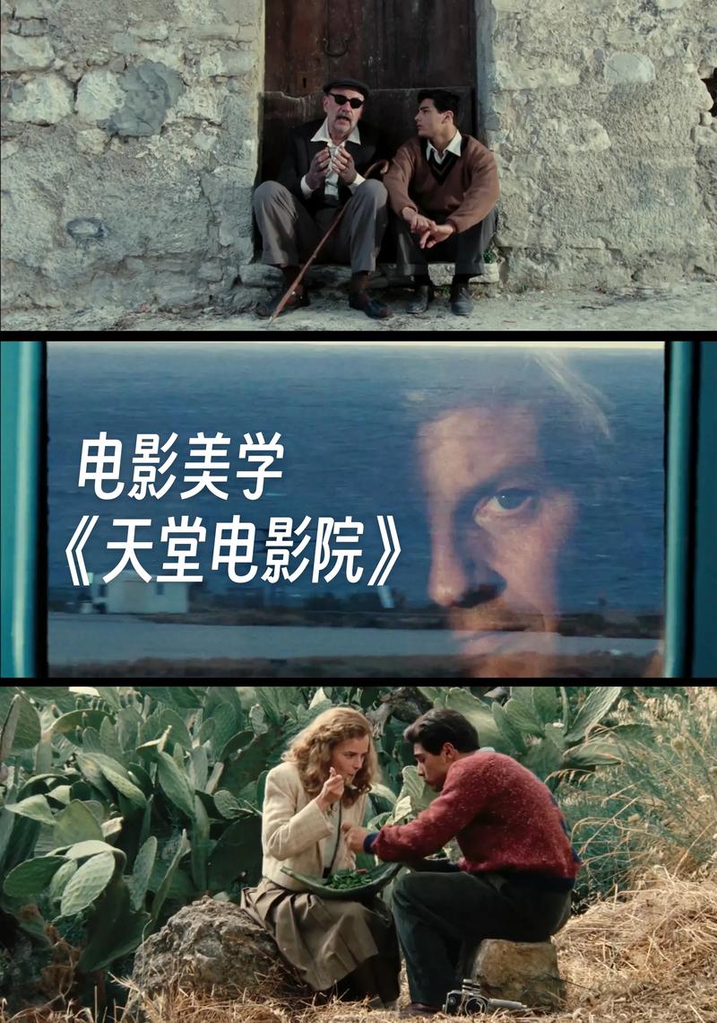 操白丝出白浆精品的相关介绍