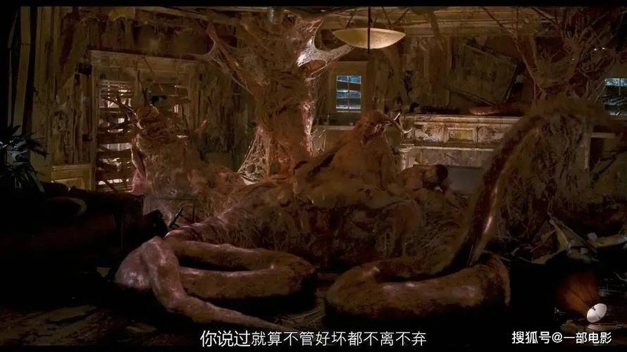 成为视频人的app免费下载的相关介绍