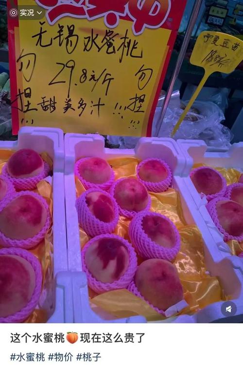 18禁网站观看入口的相关介绍
