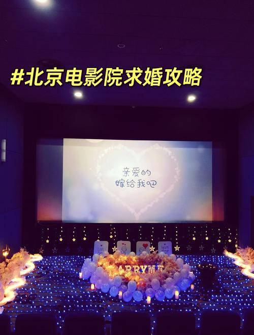 华人影院的相关介绍