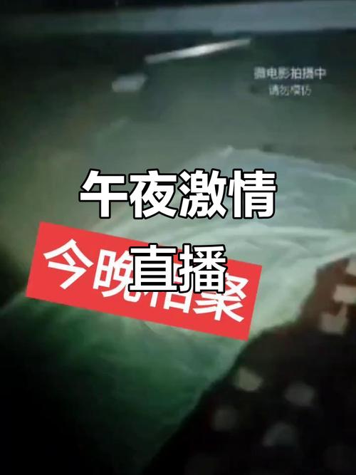 久久一级激情片的相关介绍