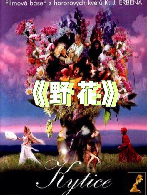 含羞草影院的相关介绍