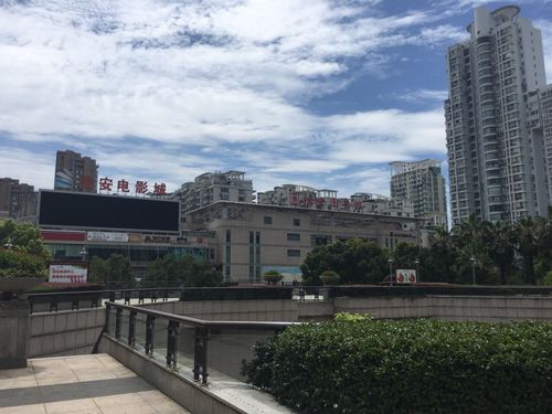 天伦影院在线观看的相关介绍