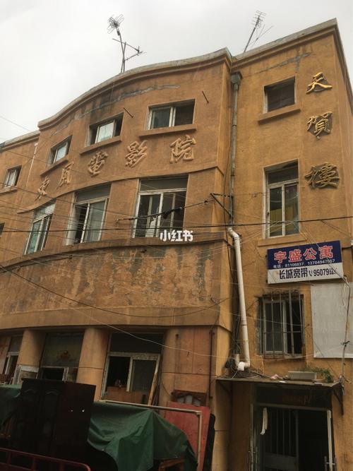 双性宫交h文的相关介绍