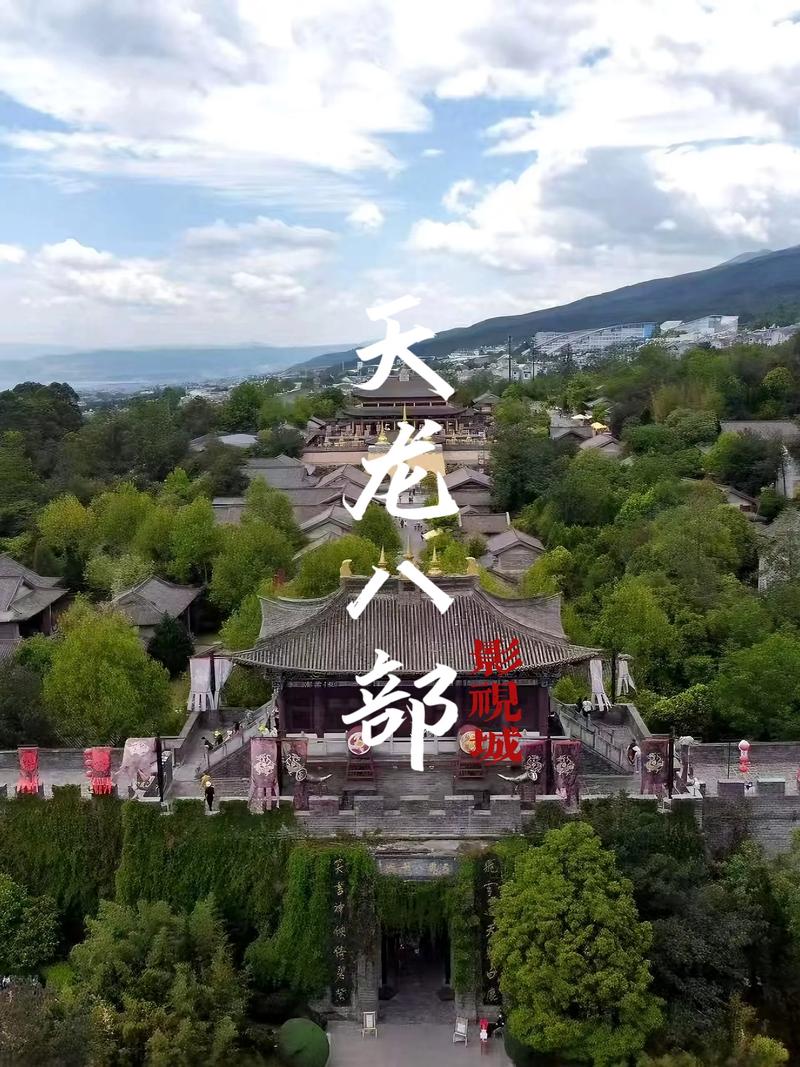 q毛片的相关介绍