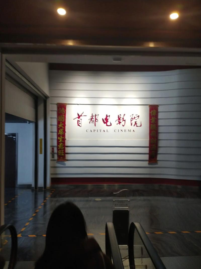 视频免费观看app下载的相关介绍