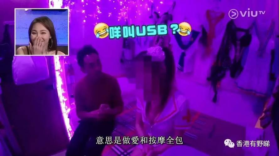 纯肉公交文的相关介绍