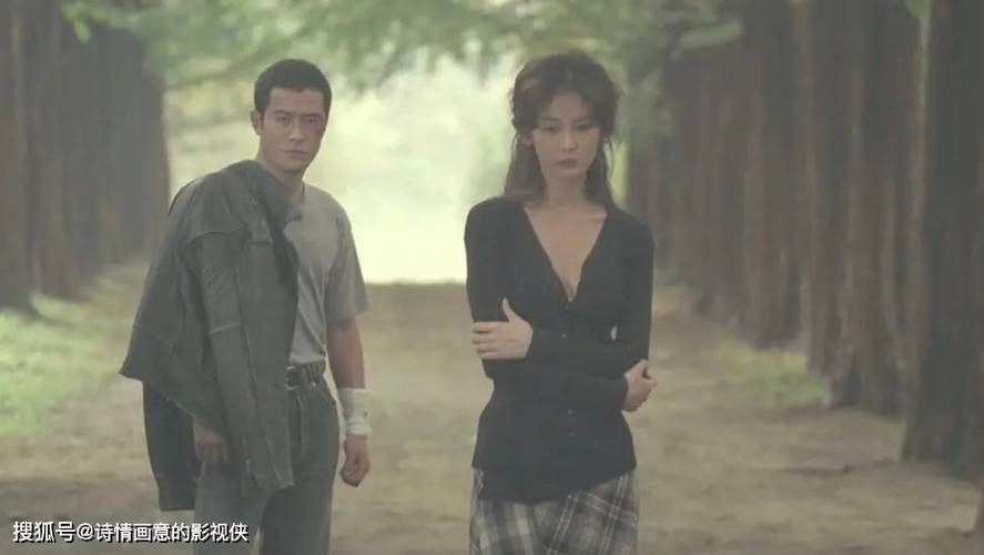 麻豆糖心传媒视频的相关介绍