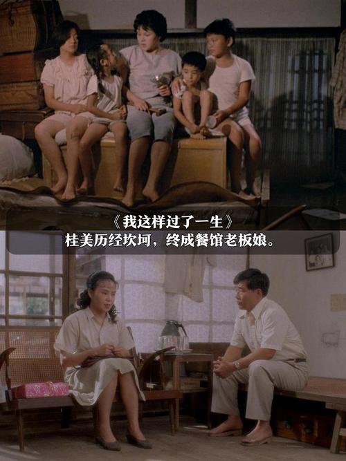 免费版深夜影院的相关介绍
