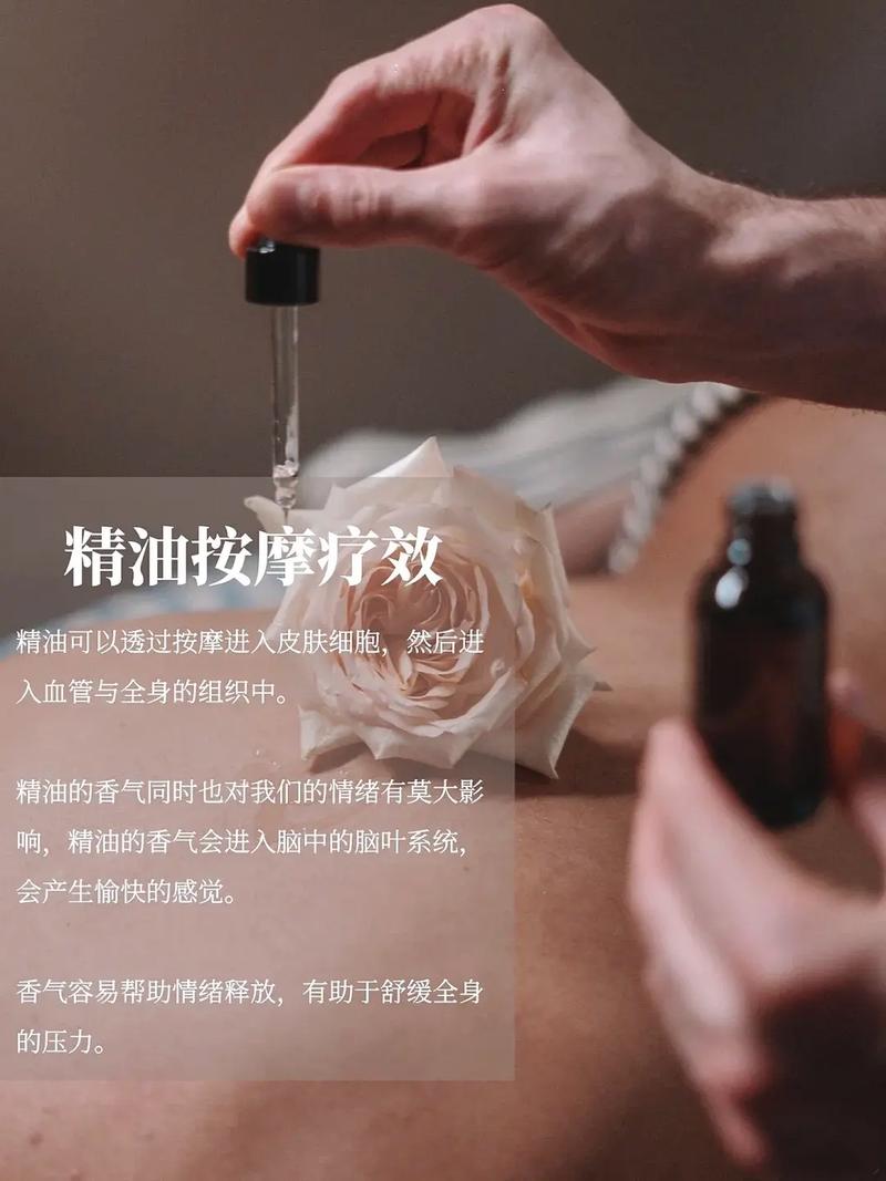 关于毛片的软件的相关介绍