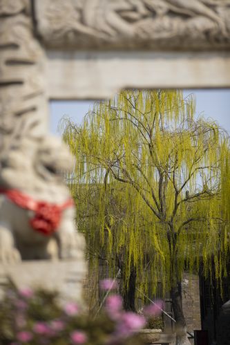 欧美在线一区二区不卡的相关介绍