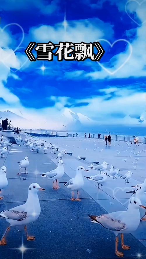 操哭白丝美女的相关介绍