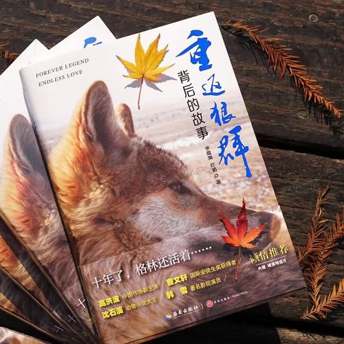 6080新视觉影院官网的相关介绍