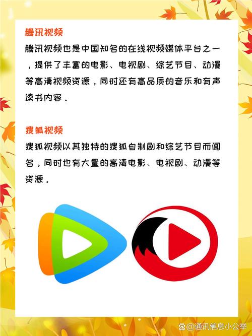 av少妇性网的相关介绍