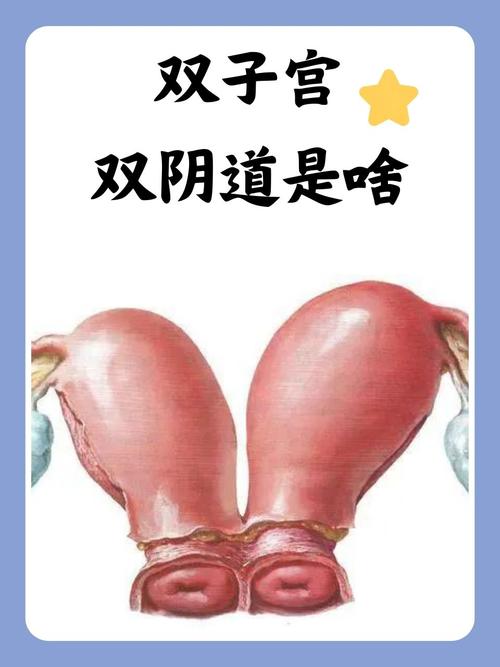 色婷婷影院的相关介绍