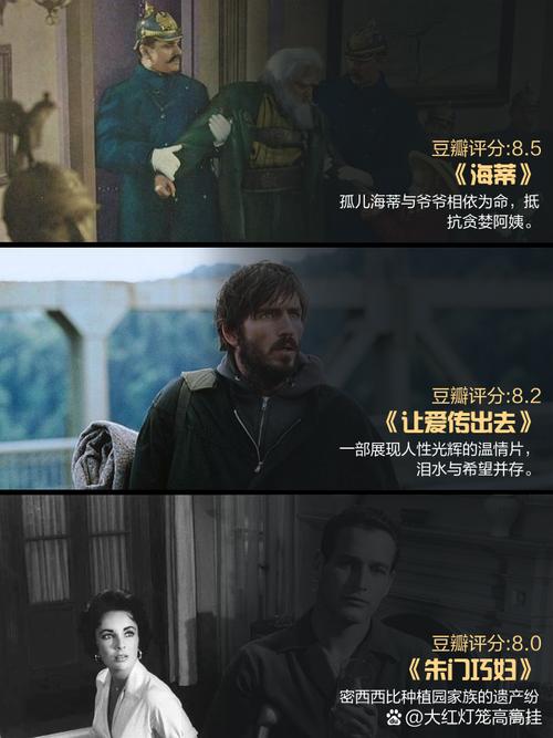 内射少妇亚洲的相关介绍