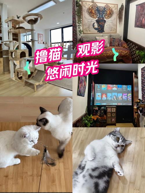 裸体按摩一区二区的相关介绍