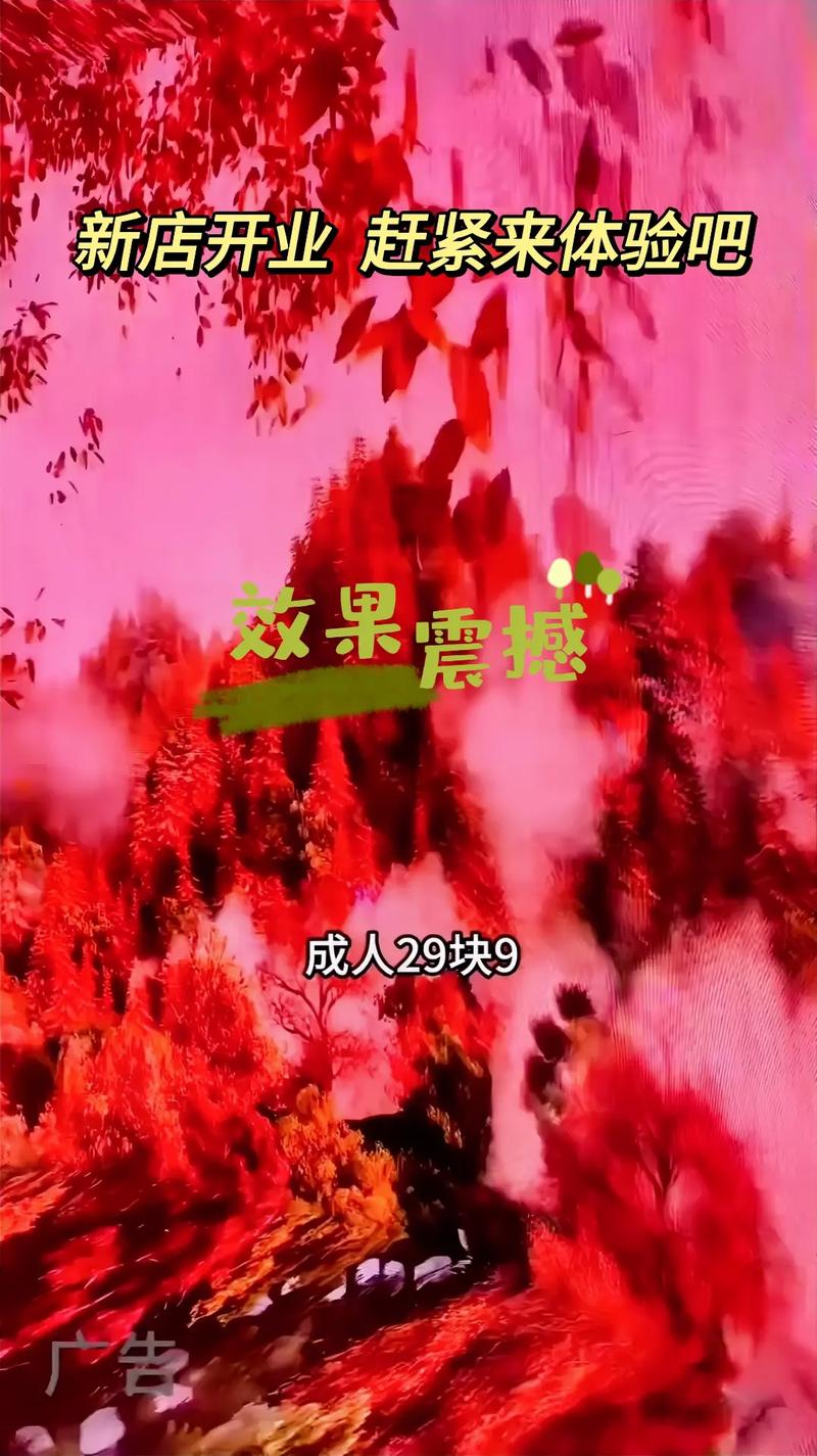 黑丝美女操出白浆的相关介绍