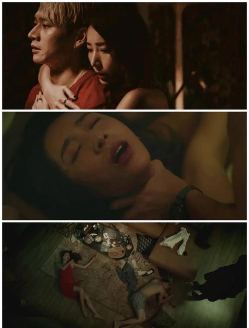 操老师的骚b的相关介绍