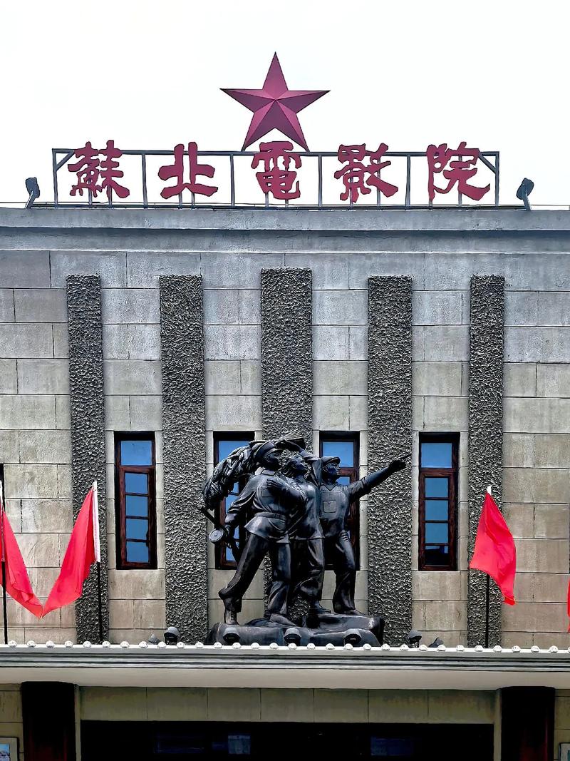 看一天影院草民电影网宅急看的相关介绍
