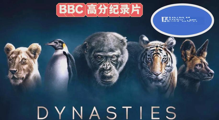 巨乳波霸影院免费观看的相关介绍