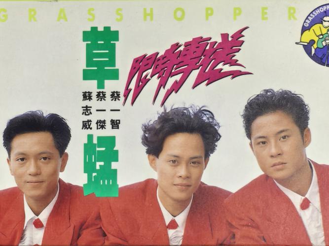 中国老熟妇88av的相关介绍