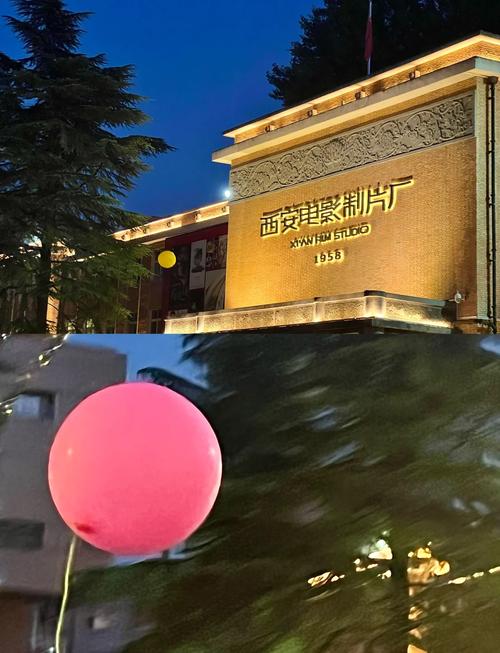 91麻豆文化传媒的相关介绍