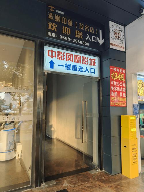 成人影院的相关介绍