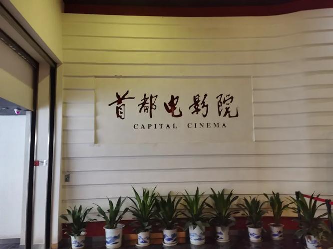 小小影院电视剧免费观看的相关介绍