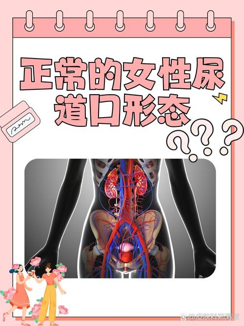 不收费的毛片软件的相关介绍
