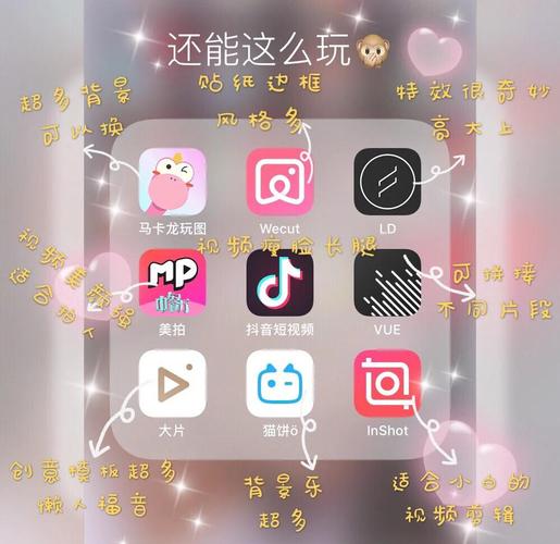 薇薇影院的相关介绍