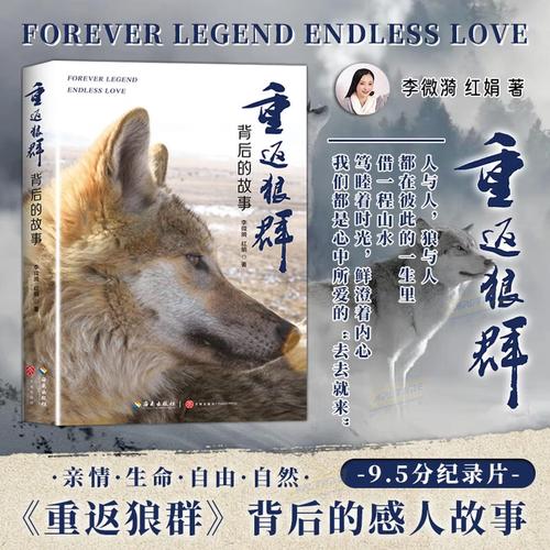 老师被我操哭的相关介绍