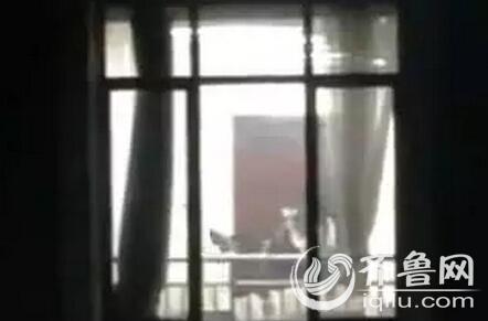 激情啪啪啪啪啪av的相关介绍