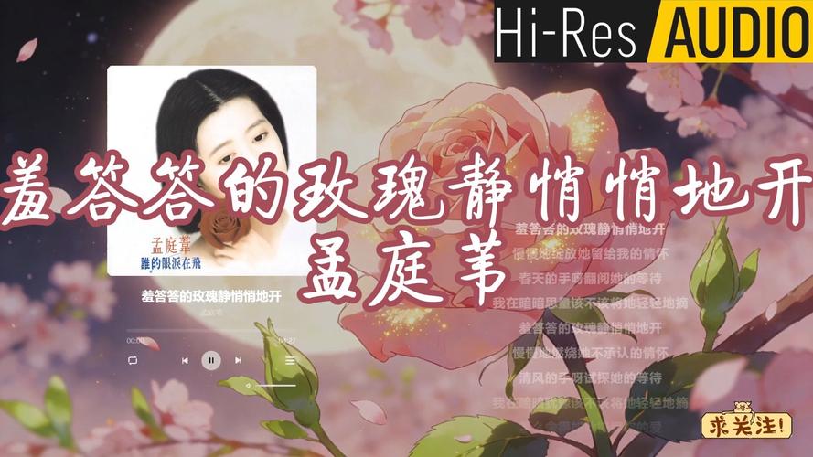 蓝猫影院的相关介绍